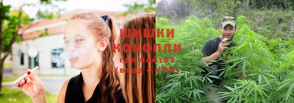 гашишное масло Покачи