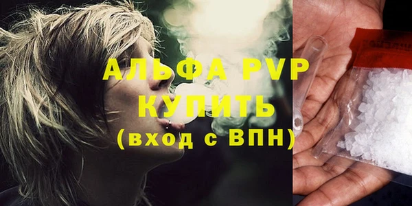 твердый Михайлов