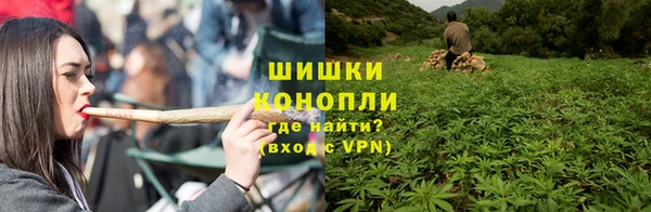 ешки Осинники