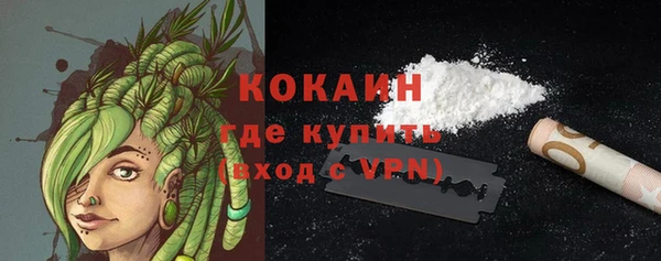 твердый Михайлов