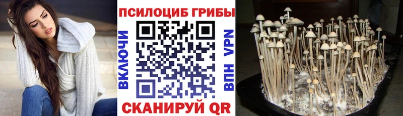Псилоцибиновые грибы GOLDEN TEACHER  Апрелевка 
