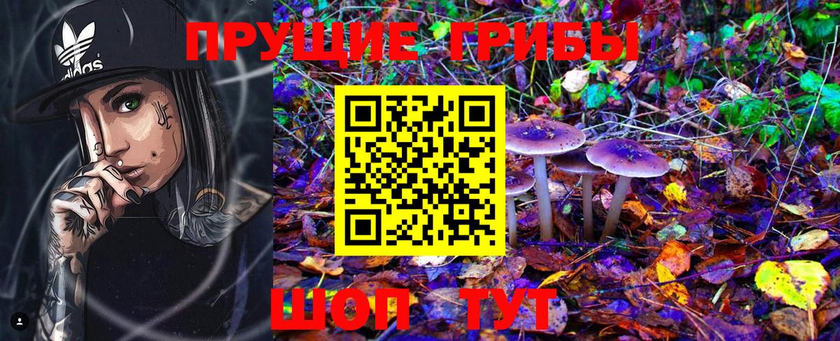 Галлюциногенные грибы Psilocybine cubensis  где найти   Псилоцибиновые грибы Psilocybine cubensis  Апрелевка 