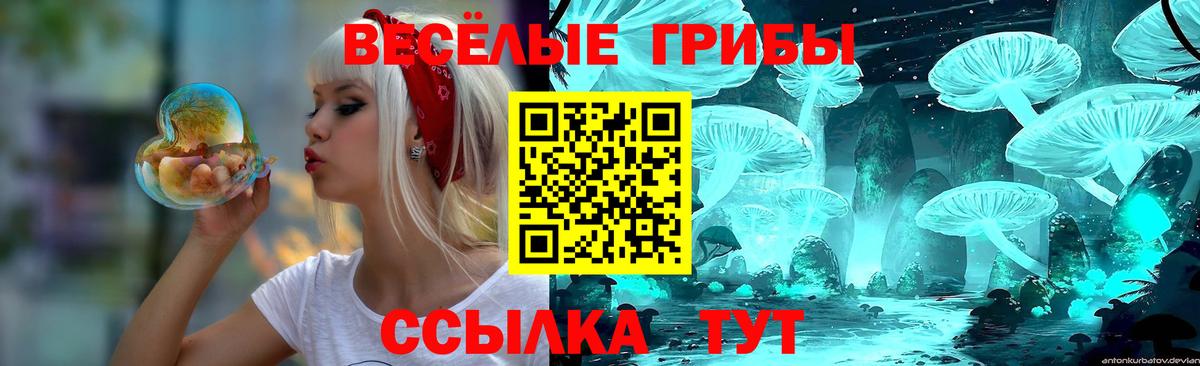 Псилоцибиновые грибы прущие грибы Апрелевка