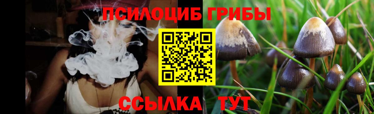 Апрелевка  Галлюциногенные грибы мицелий  Вход с VPN  Галлюциногенные грибы Psilocybine cubensis 